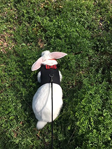 Bunny Kitten Harness No Pull Cat Leash Stylish Vest Harness For Small Animal Adjustable Soft Breathable Walking Harness Set (Black, L) #TOP2