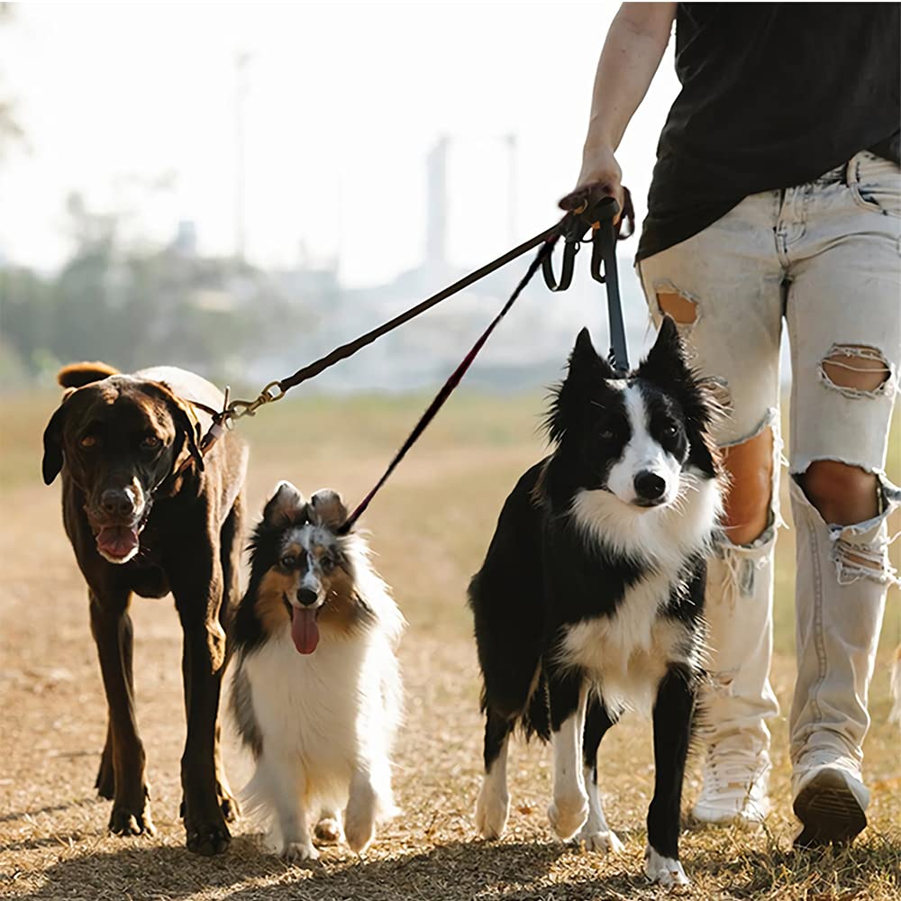 Guinzaglio per Cani, 3 in 1 Cane Guinzaglio, 3 In 1 Multi Guinzaglio per Animali Domestici, Regolabile Staccabile in Nylon Guinzaglio Cani, per animali domestici multipli (Nero)