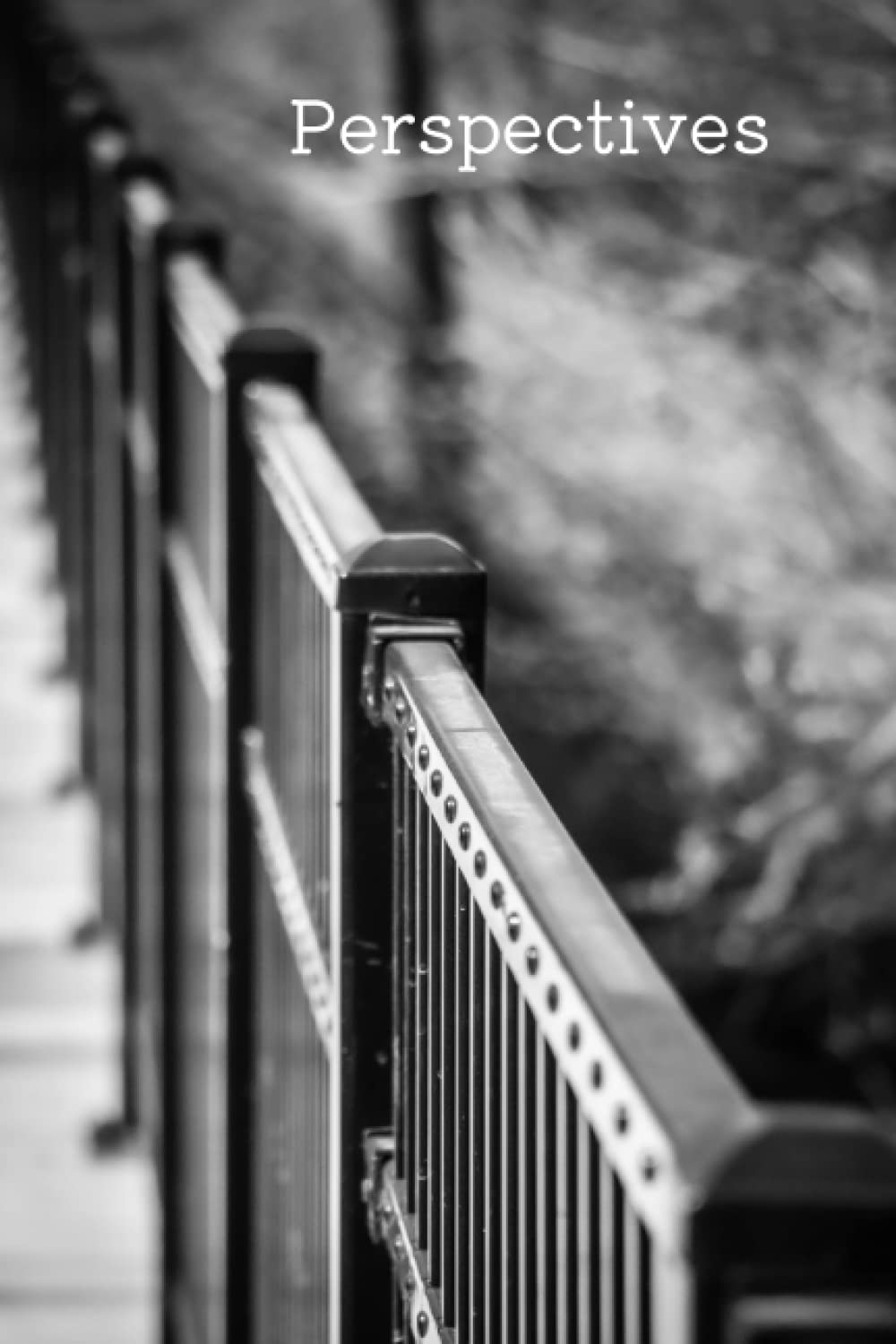 Perspectives Journal (6x9) 100 pages: A Place for all your Thoughts