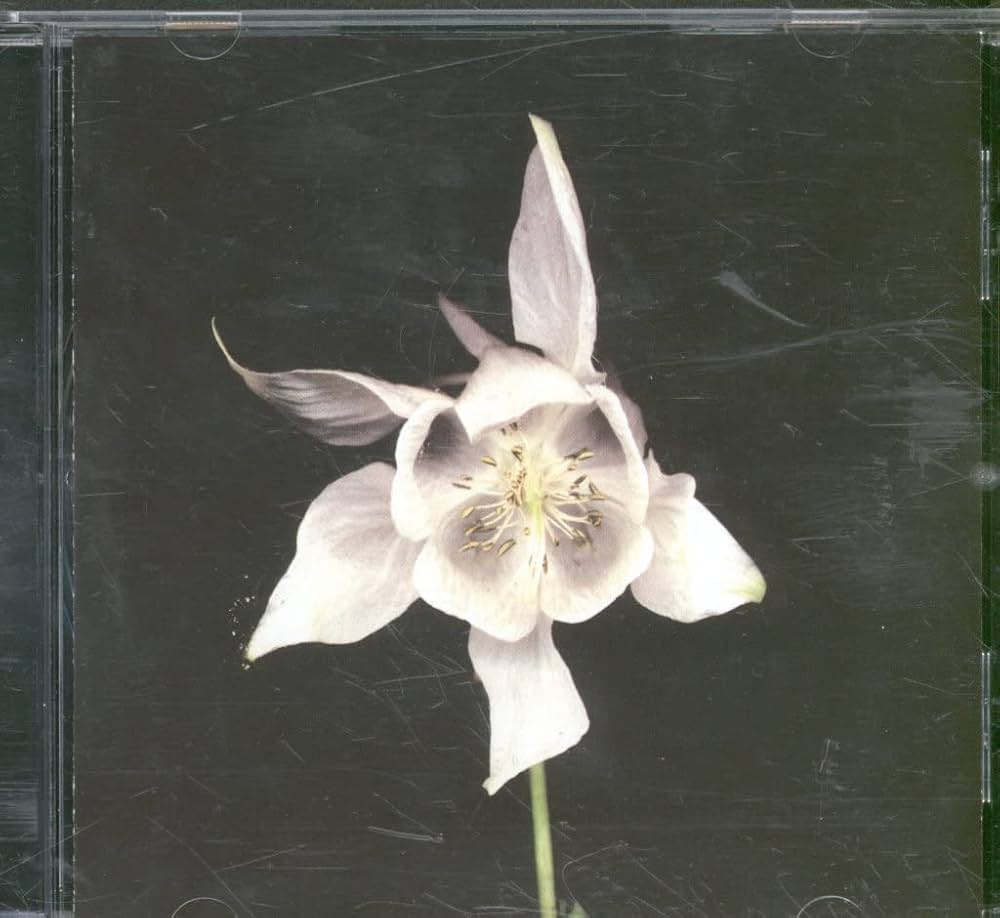 邦楽 World standard / double happiness LP 邦楽 World standard / double happiness LP World Standard