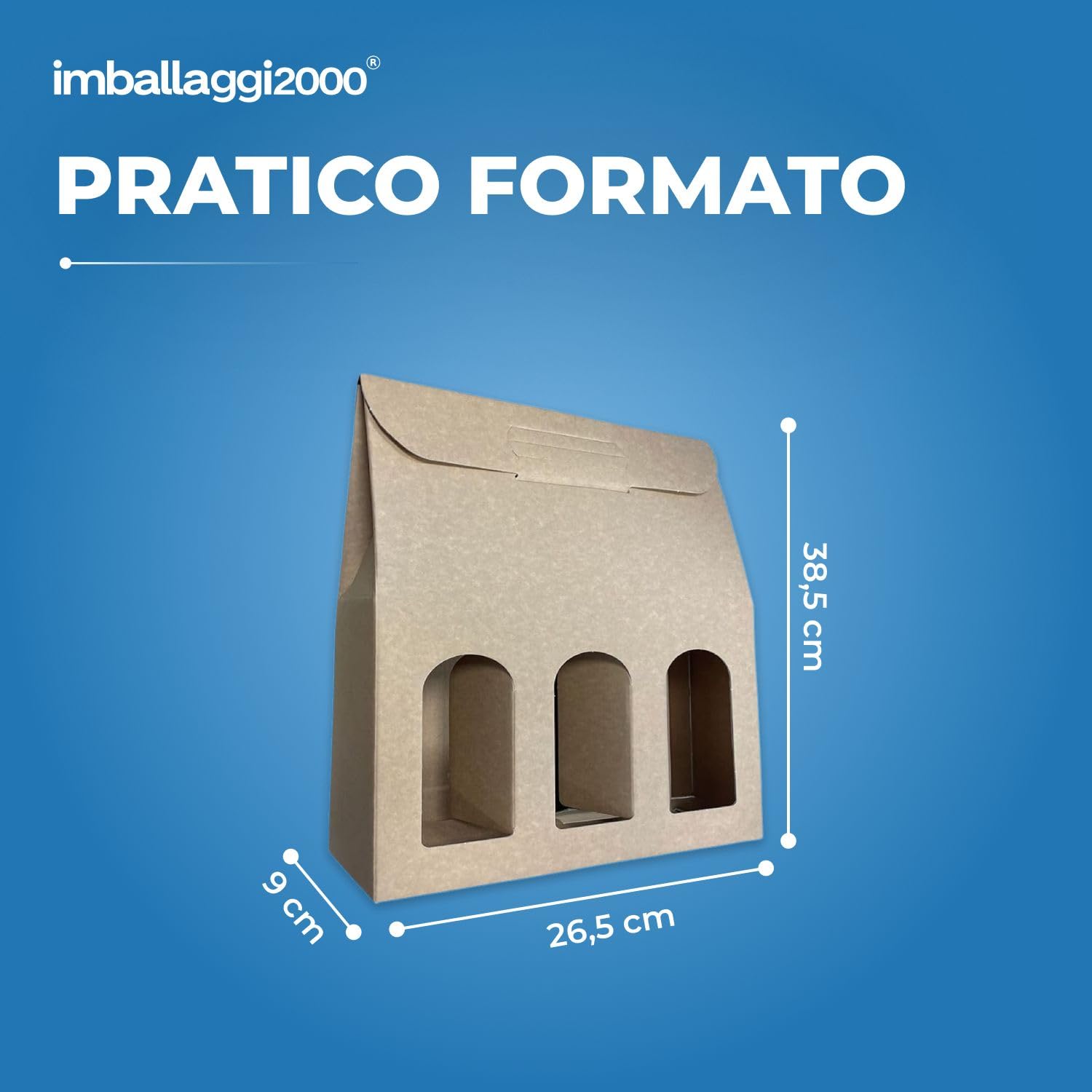 IMBALLAGGI 2000 -20 Cajas Botellas Negras - Cajas de cartón para botellas de vino prosecco champán - Paquete de 3 botellas - Ideal para Navidad y ocasiones especiales