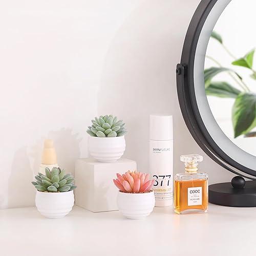Miniatura 7 de Tiita Suculentas artificiales artificiales en macetas, plantas falsas, arreglo de cerámica, maceta para escritorio de mujer, pequeña decoración