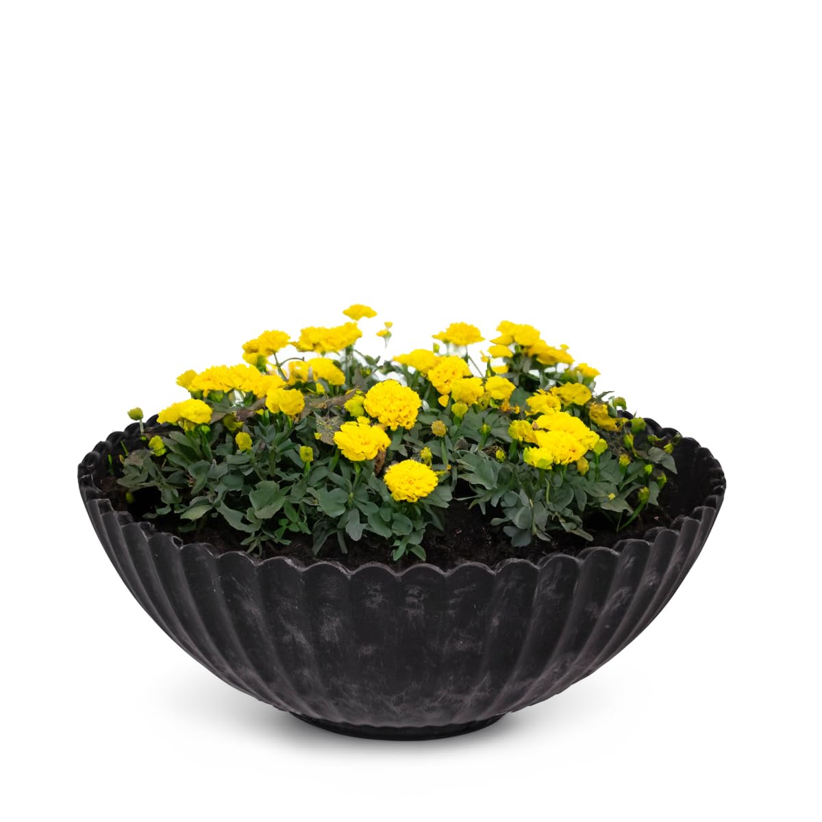matches21 HOME & HOBBY matches21 Outdoor Plant Bowl - 16 cm Decorative Bowl Black Ribbed as Flower Pot Plant Pot - Round Flower Bowl for Garden, Balcony or Cemetery as Grave Bowl