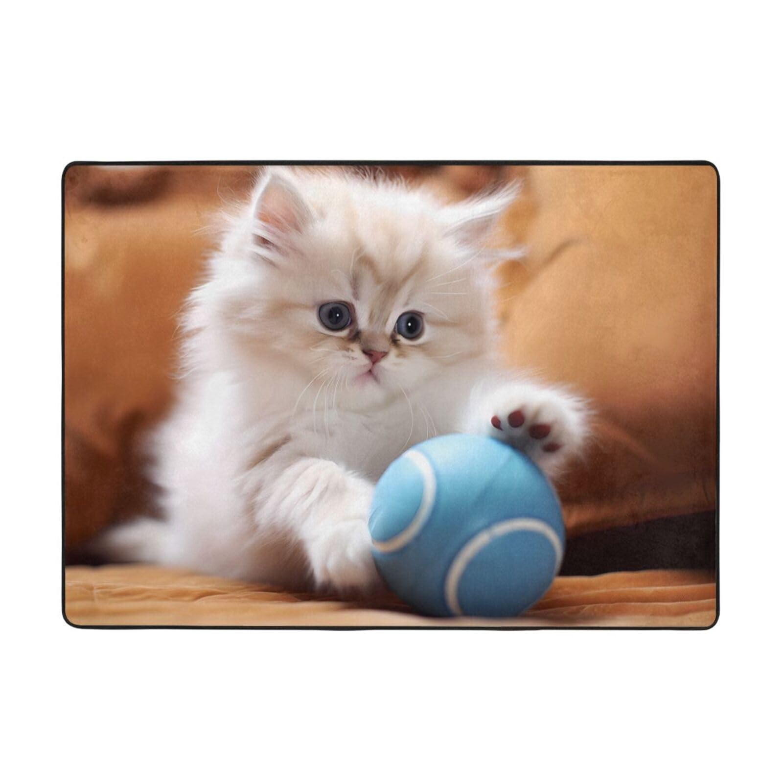 Tapis chat persan flanelle anti-sol froid pour grand salon et chambre