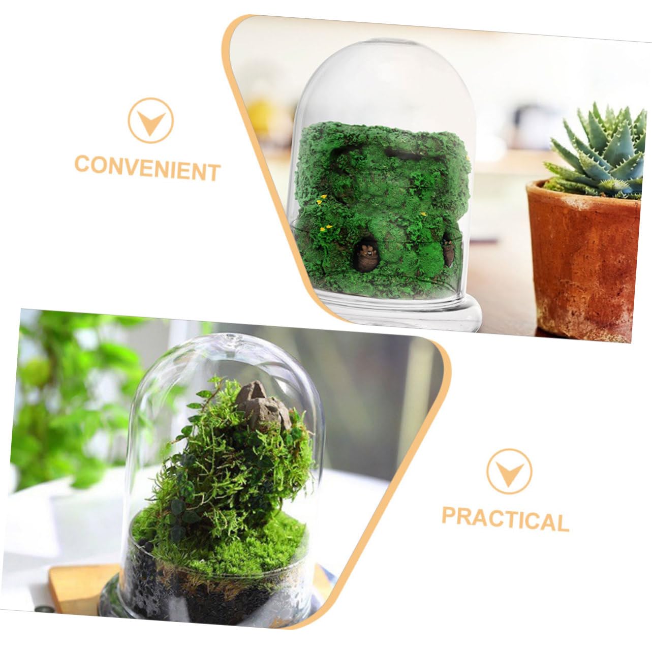 Terrario Micro Paesaggio DIY in Vetro, per Piante e Fiori