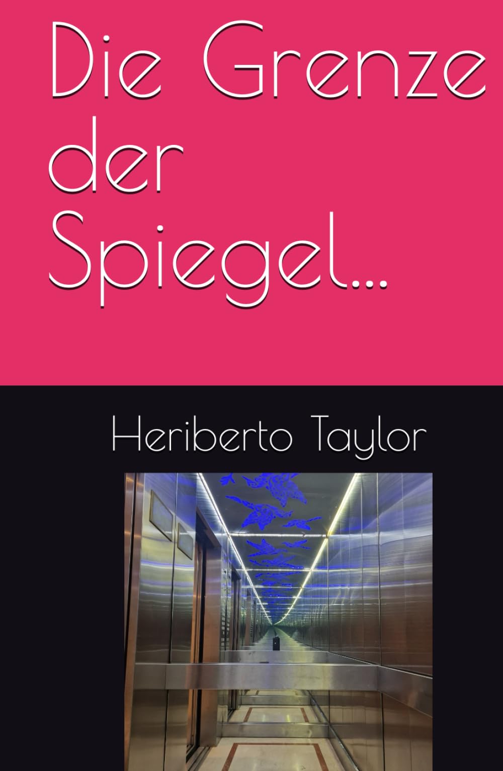 Die Grenze der Spiegel...