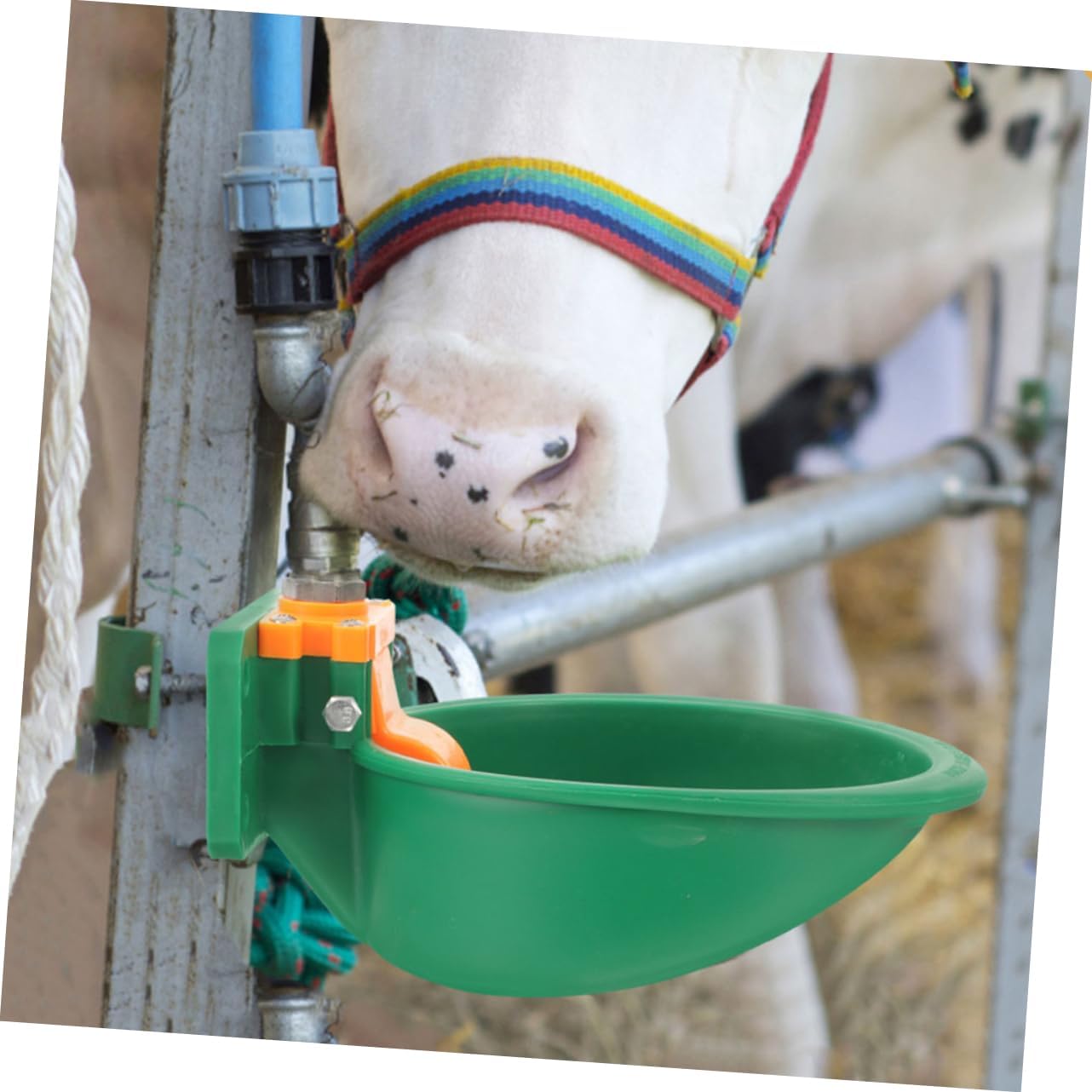 Milisten 2pcs Sheep Goat Automatic Drinking Bowl Livestock Water Trough Plastic Waterer Bowl Easy Install