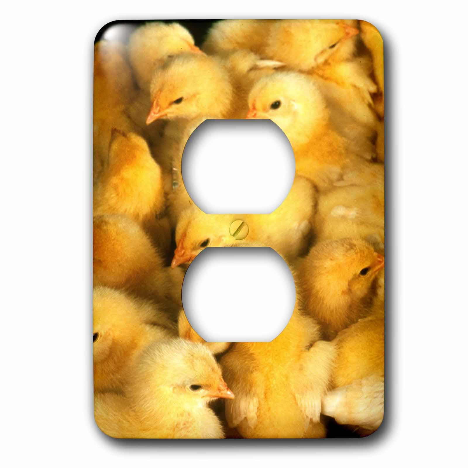 Groupe de poussins plaque décorative pour rénover facilement vos anciens interrupteurs ternes