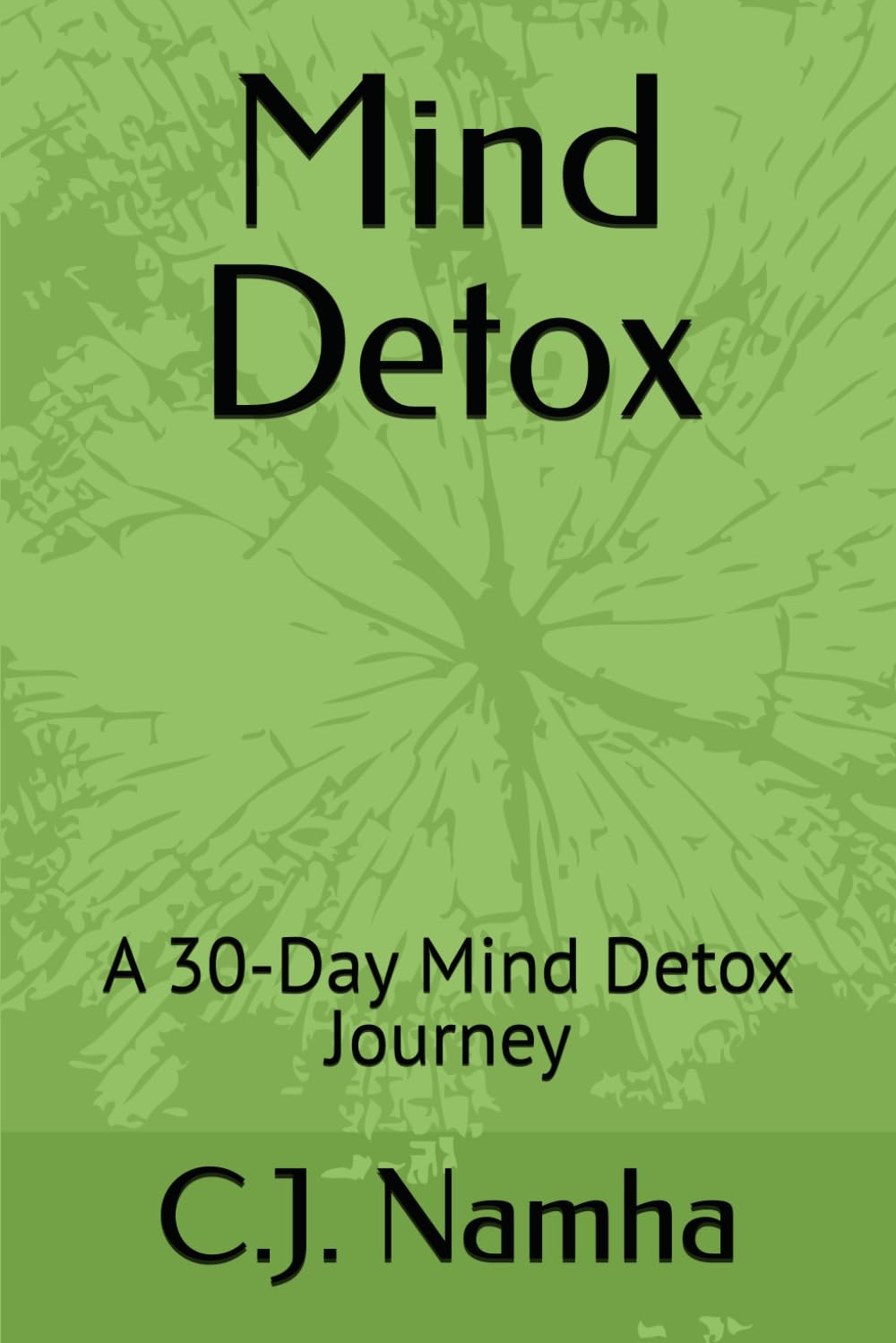 Mind Detox: A 30-Day Mind Detox Journey