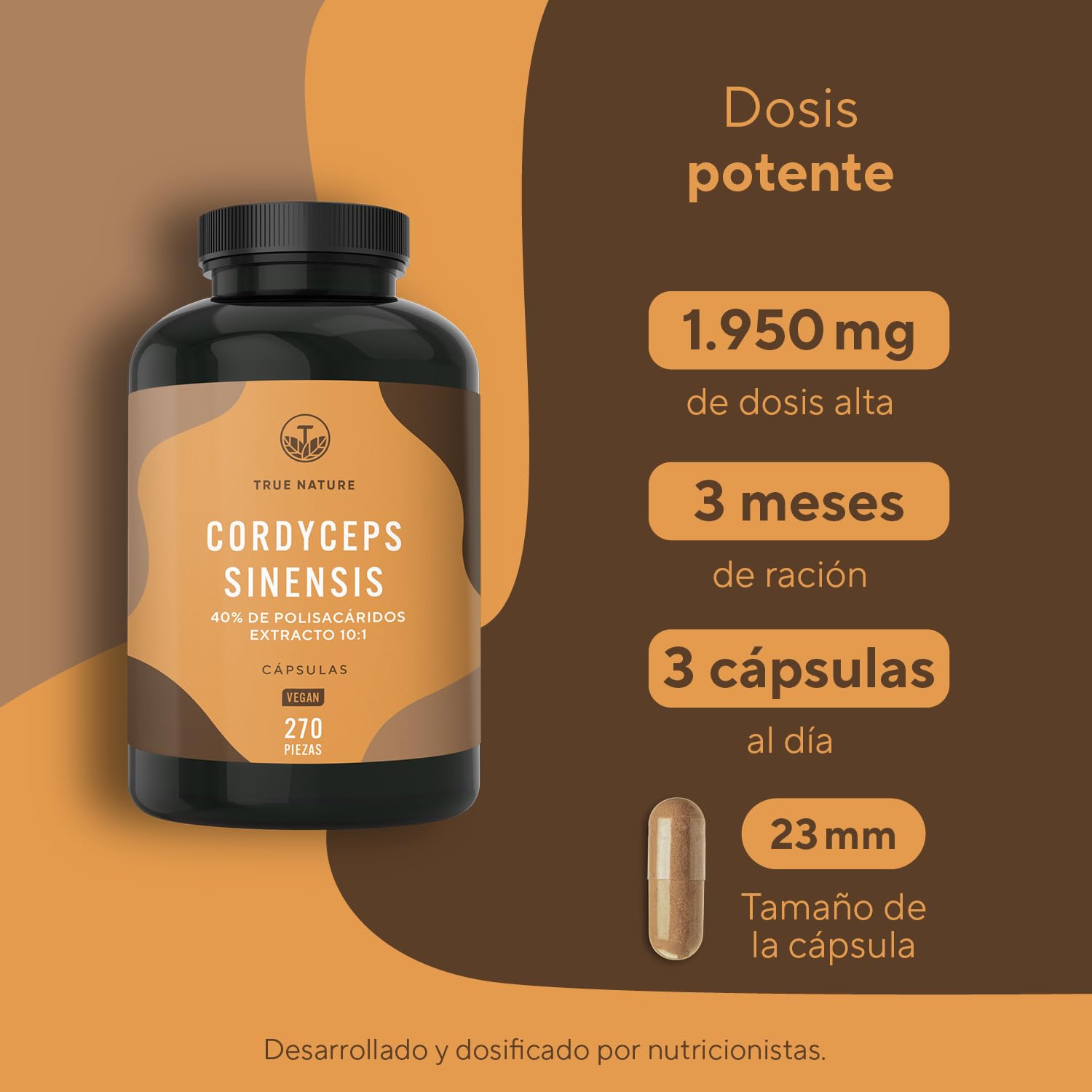 Cordyceps Sinensis cápsulas - 19500mg (10:1) alta dosis - 270 cápsulas - 207 g - con 40% de polisacáridos bioactivos - Testado en laboratorio - Vegano - TRUE NATURE