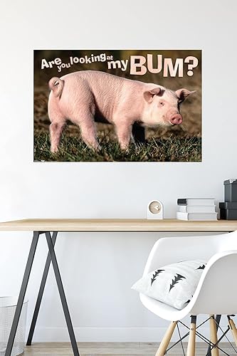 Miniatura 4 de Trends International Póster de pared de animales - cerdo - Estás mirando a mi trasero Póster de pared, 22.375 x 34 pulgadas, versión premium sin