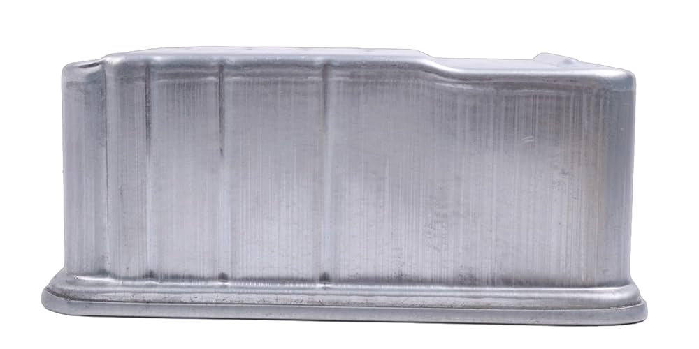 Amazon.com: LSSOCH Fuel Filter Element AM101004 Compatible