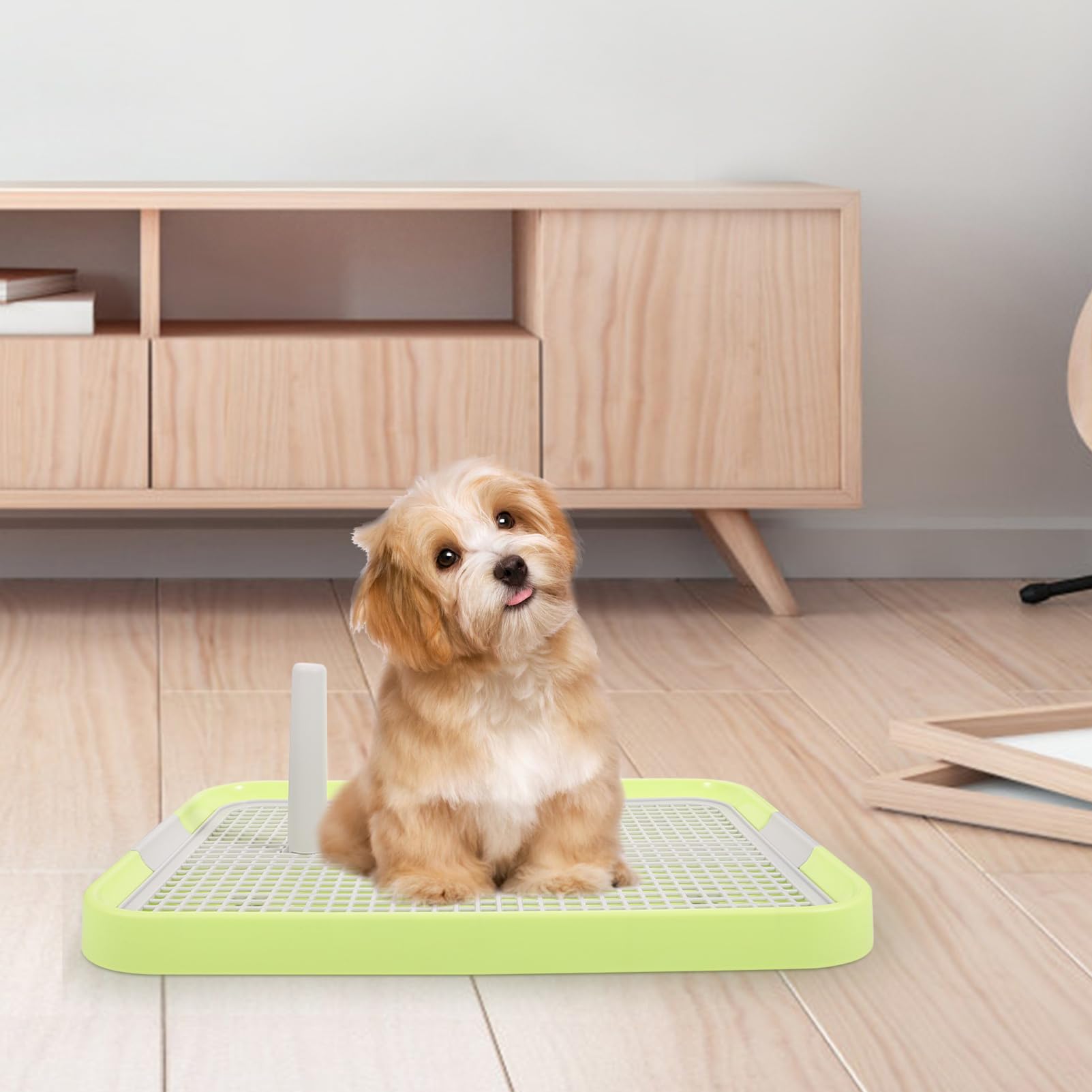 Toilette pour Chien Intérieur Antidérapante, Grille Détachable, Plastique