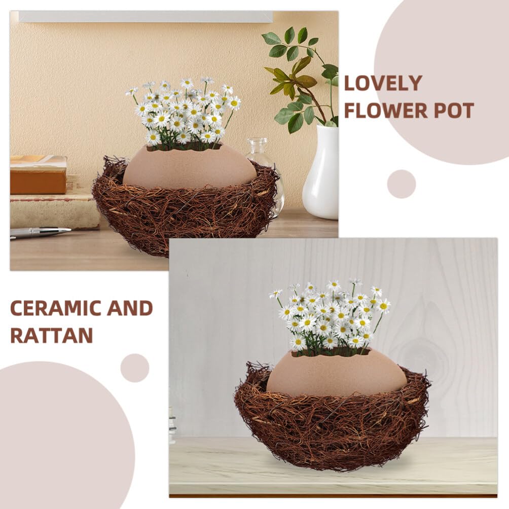 Amazon.co.jp: Kichvoe 1 セット ダチョウの卵殻の花瓶 セラミック