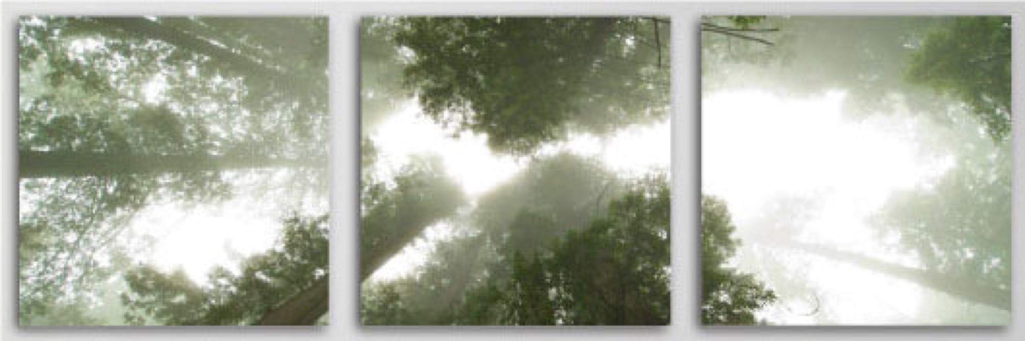 ファブリックパネル ファブリックボード 『森林』 ファブリックパネル ファブリックボード 『森林』の通販 by SUTE