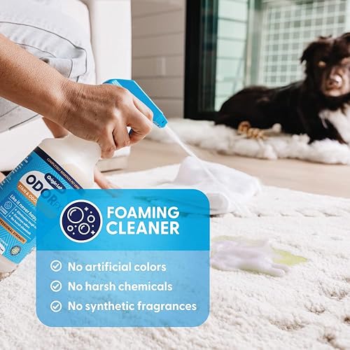 Miniatura 5 de OdorFx - Paquete de removedor de olores de mascotas, paquete de removedor de manchas y olores para limpieza de alfombras y manchas de mascotas,