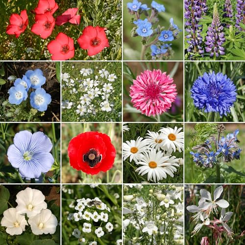 Image of Ferry-Morse Red, White & Blue Bulk Wildflower Seeds, 290,000+, 1 lb