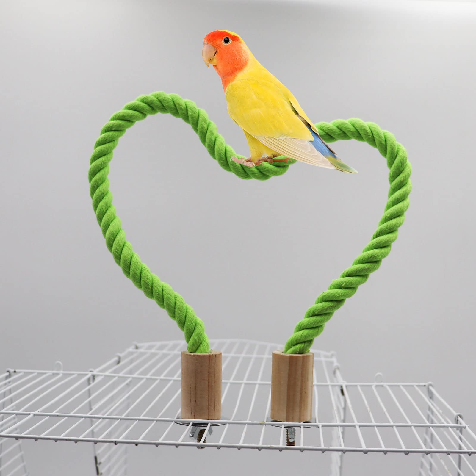 Dnoifne Huśtawka dla ptaków, klatka dla ptaków, akcesoria do stojaka, stojak na klatkę dla ptaków, stojące okonie wspinaczkowe dla papugi, papugi, budgies, gołąbków (S 60 cm)