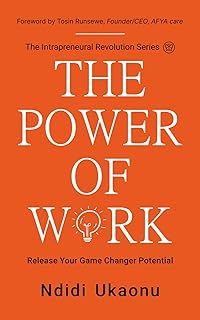 The Power Of Work: Release Your Game Changer Potential (The Intrapreneural Revolution Series)