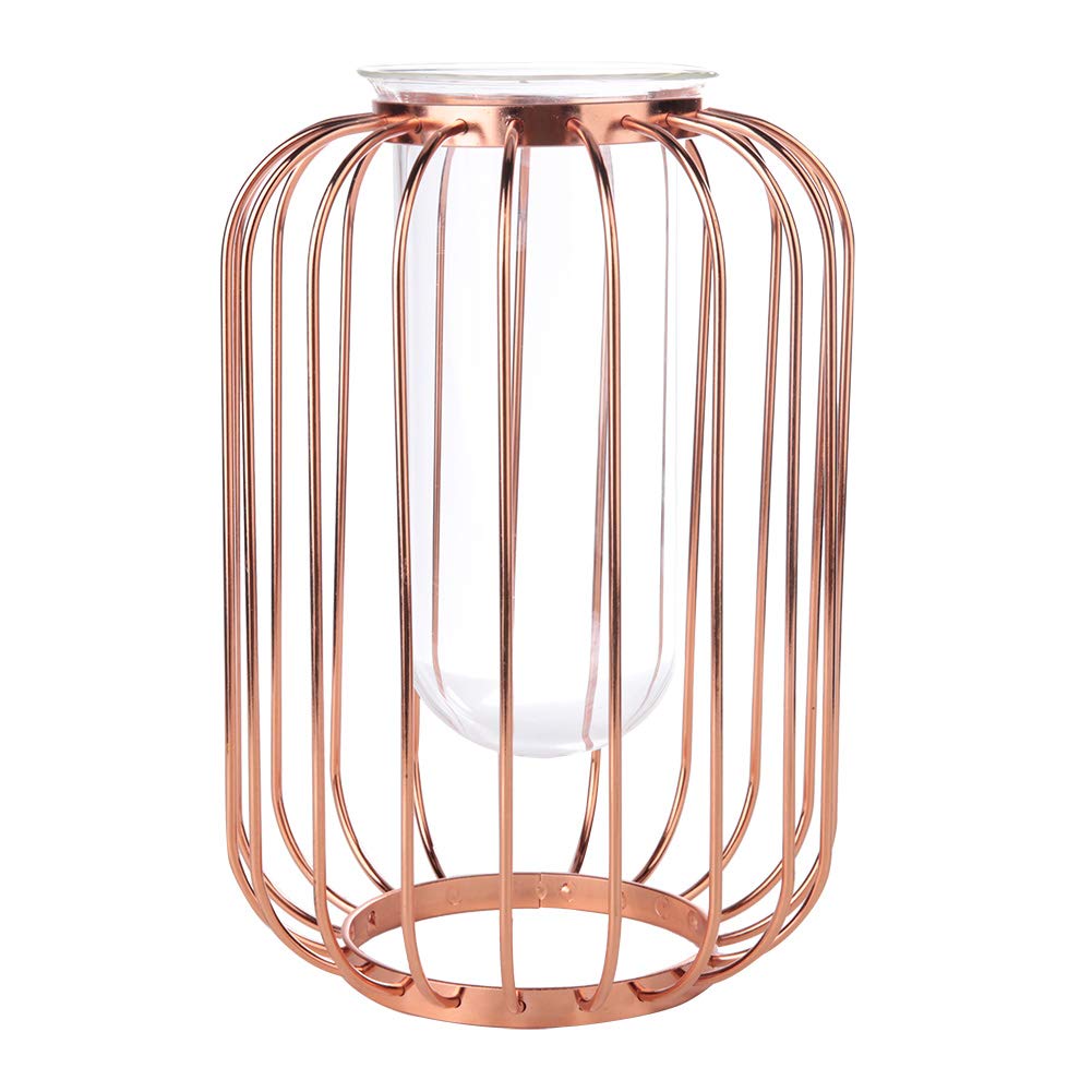 Metal Wire Transparent Glass Tube Gold Candle Planter Holder, Nordic Lantern Shaped Wrought Iron Vase, Decorative Modern Flower Vase, Glass Iron Tabletop Flower Vase for Home Decor Living(Rose Gold)