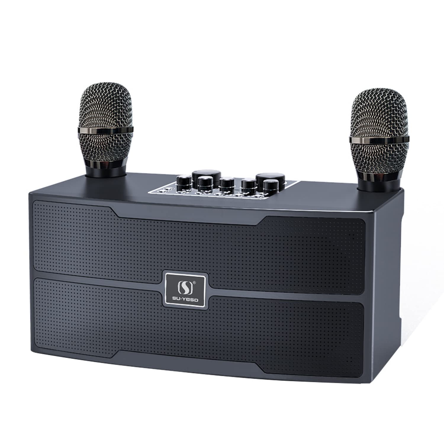 Karaoke Professionale 20W Con Microfono - Sistema PA Bluetooth Con 2 Microfoni Wireless HD - Cassa Per Riunioni Di Famiglia, Matrimoni