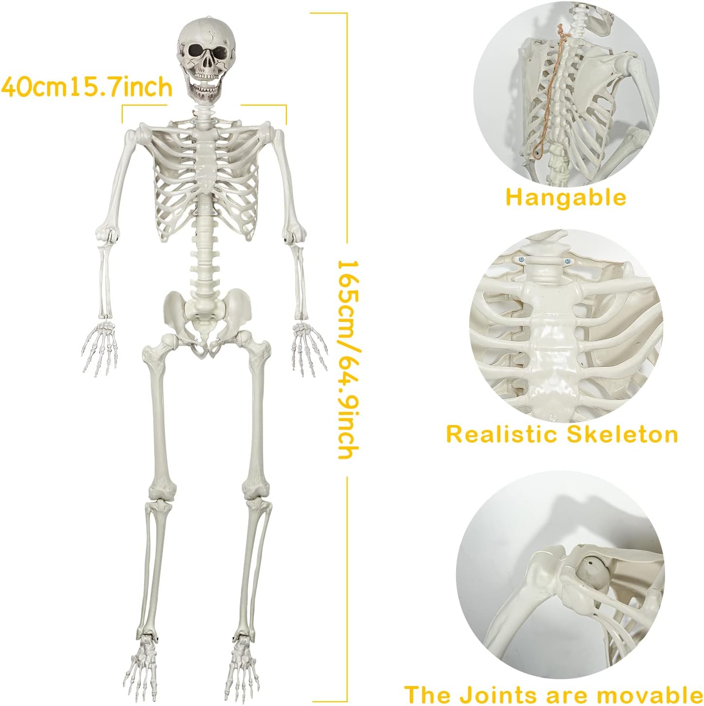 5.4Ft/165cm Posable Halloween Skeleton, Full Body Life Size Skeleton with Movable Joints for Indoor Outdoor Halloween Decorations, Spooky Party Props Decor