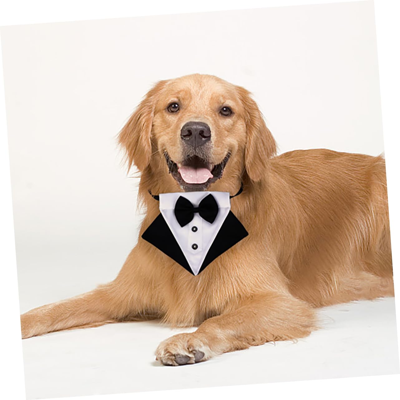 Toddmomy 3ensembles Bandana Triangulaire pour Chien avec Nœud Décoratif Écharpe De pour Animaux De Compagnie pour Sorties Photos