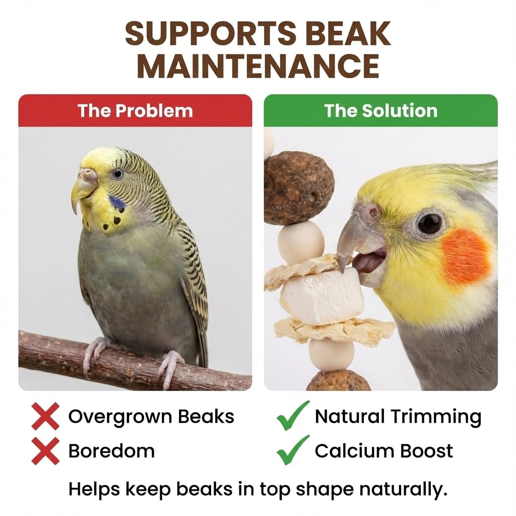 Natural Wood Bird Swing Toy for Parakeets Cockatiels, Parrot Hanging Perch with Chewing Pine Cones & Beak Grinding Pumice Stone, Bird Cage Accessories for Conure Lovebirds Budgies - Boredom Relief - image 4