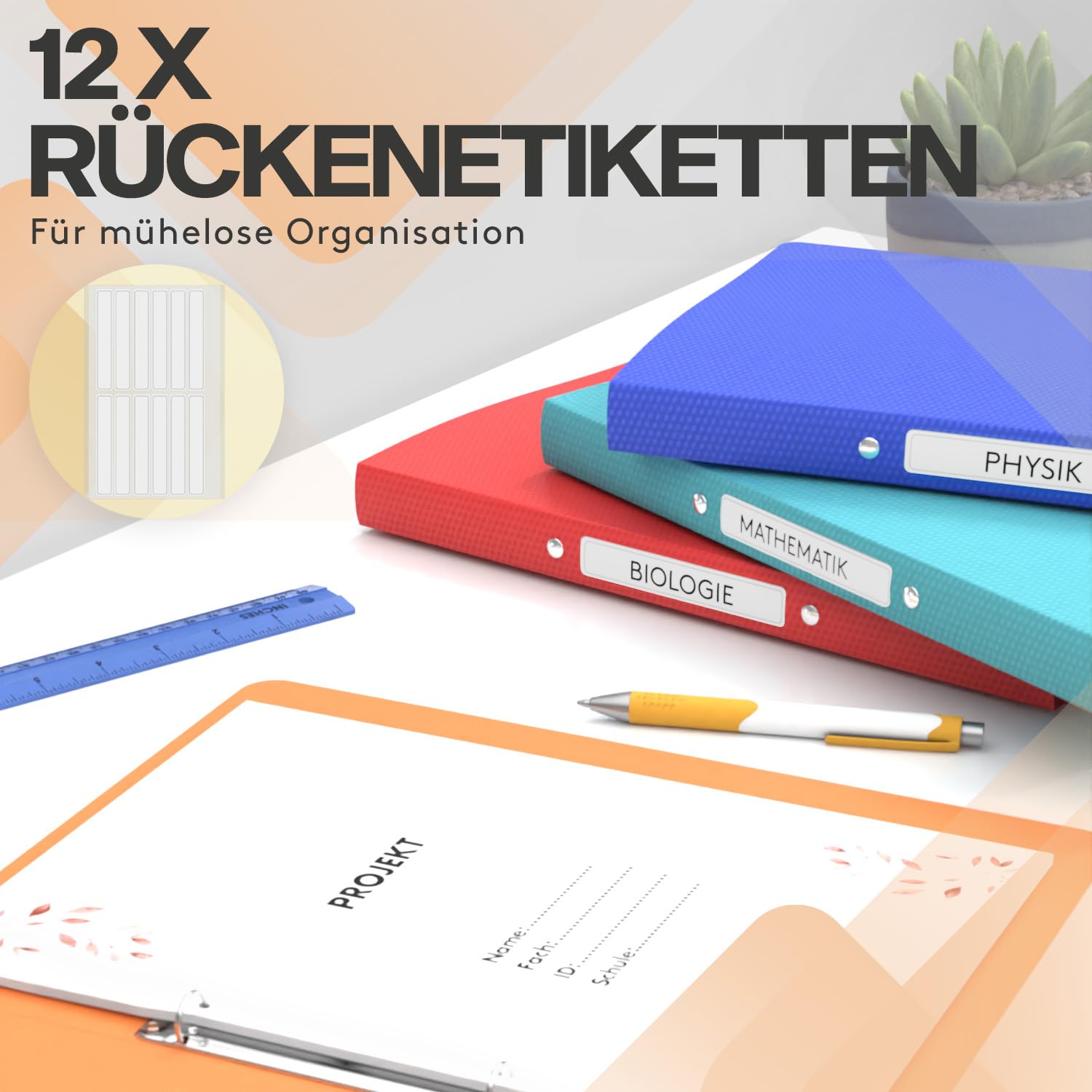 ACROPAQ - 10 x Ringbuch A4 - Inkl. 10 x Dokumententasche, 25 x Klarsichthüllen und 12 x Rückenetiketten, Mit 2 Ringen, Rückenbreite 2,5 cm, Regenbogen, "Nature" Farbkollektion - Ringhefter, Ringordner