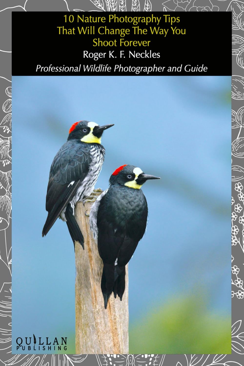10 Nature Photography Tips That Will Change The Way You Shoot Forever