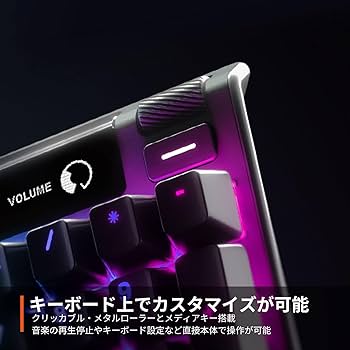 Amazon.co.jp: SteelSeries ゲーミングキーボード 青軸 有線