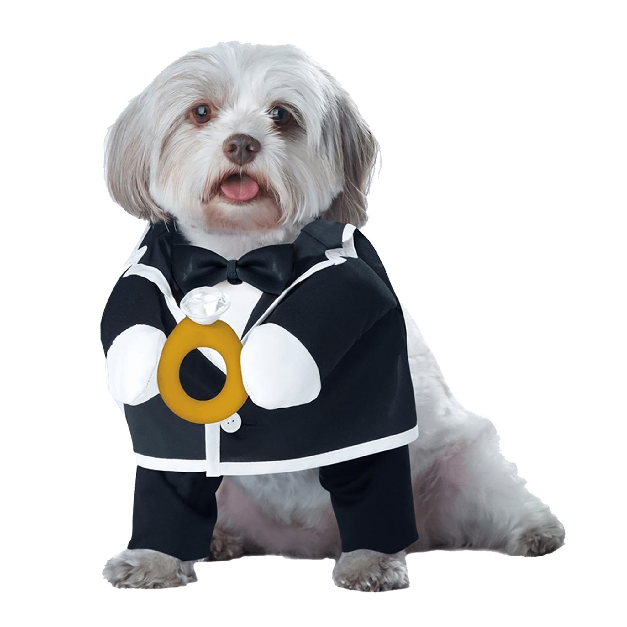 California costume Collections pup-a-razzi Puppy love-groom Dog costume, nero/bianco, piccolo