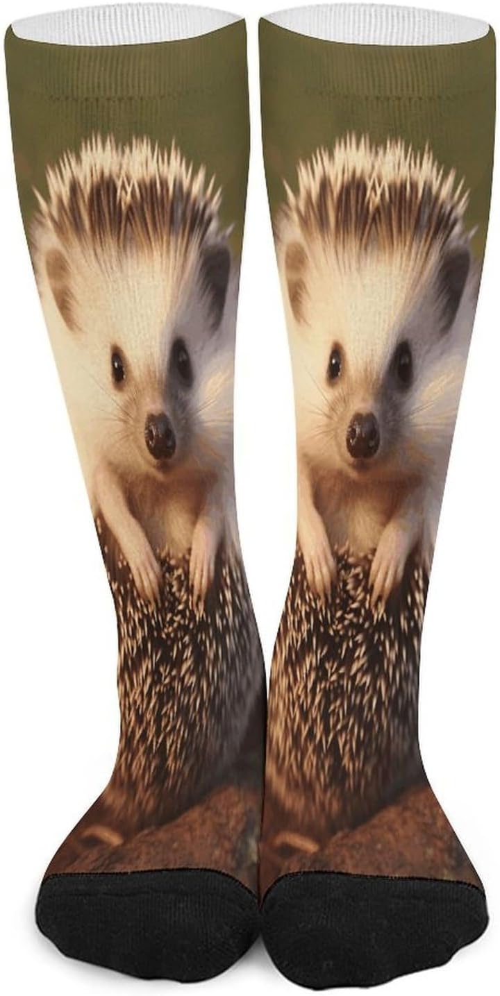 Hedgehog Compression Sock Circulation Support Socks Lightweight Knee High Tube Sock Over-The-Calf Sock for Adult