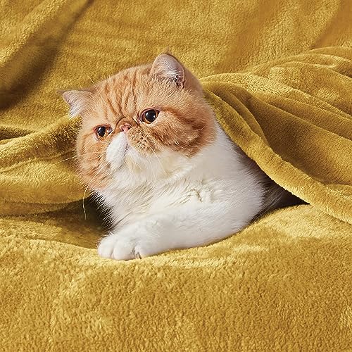 Image of Bedsure Fleece Blanket Queen Blanket Gold Yellow - Bed Blanket Soft Lightweight Plush Fuzzy Cozy Luxury Microfiber, 90x90 inches