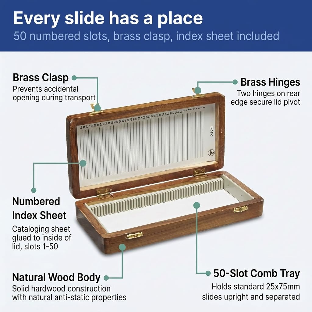 United Scientific™ Wooden Microscope Slide Box, 50 Slots with Hinged Lid — Amazon image 2
