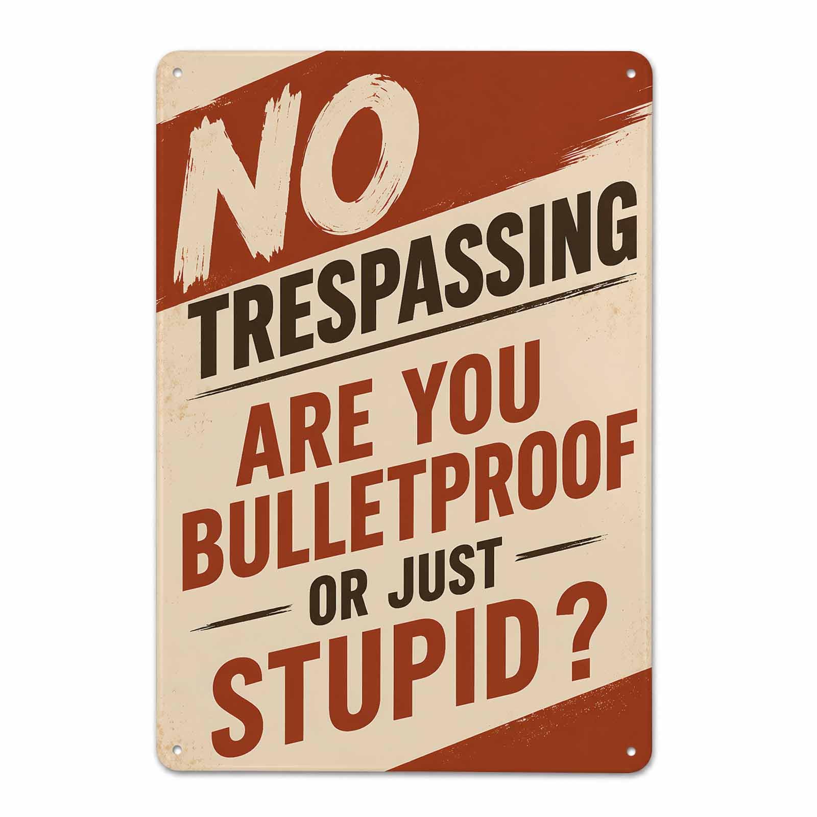 Gsrony Boys Type02 24 Hour Surveillance Vintage Metal Tin Sign 8X12,Waterproof
