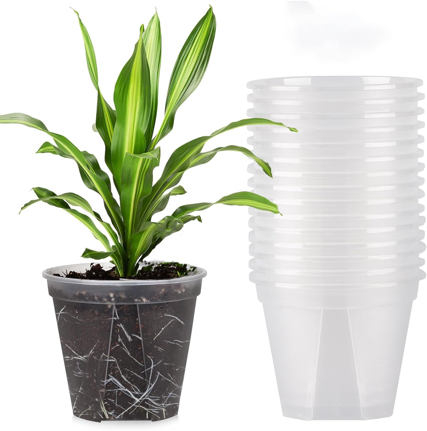 10Pcs Clear Orchid Pots with Holes Planter Nursery Pots Planter Nursery Pots Clear Plastic Gallon Root Control Flower Pots for Vegetable Flower Fruit Nursery Garden