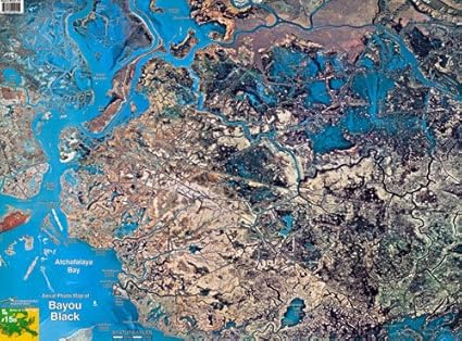 Bayou Black Fishing Map Standard Map Sm015 Standard Laminated Map44; Bayou Black : Fishing Charts  And Maps : Sports & Outdoors