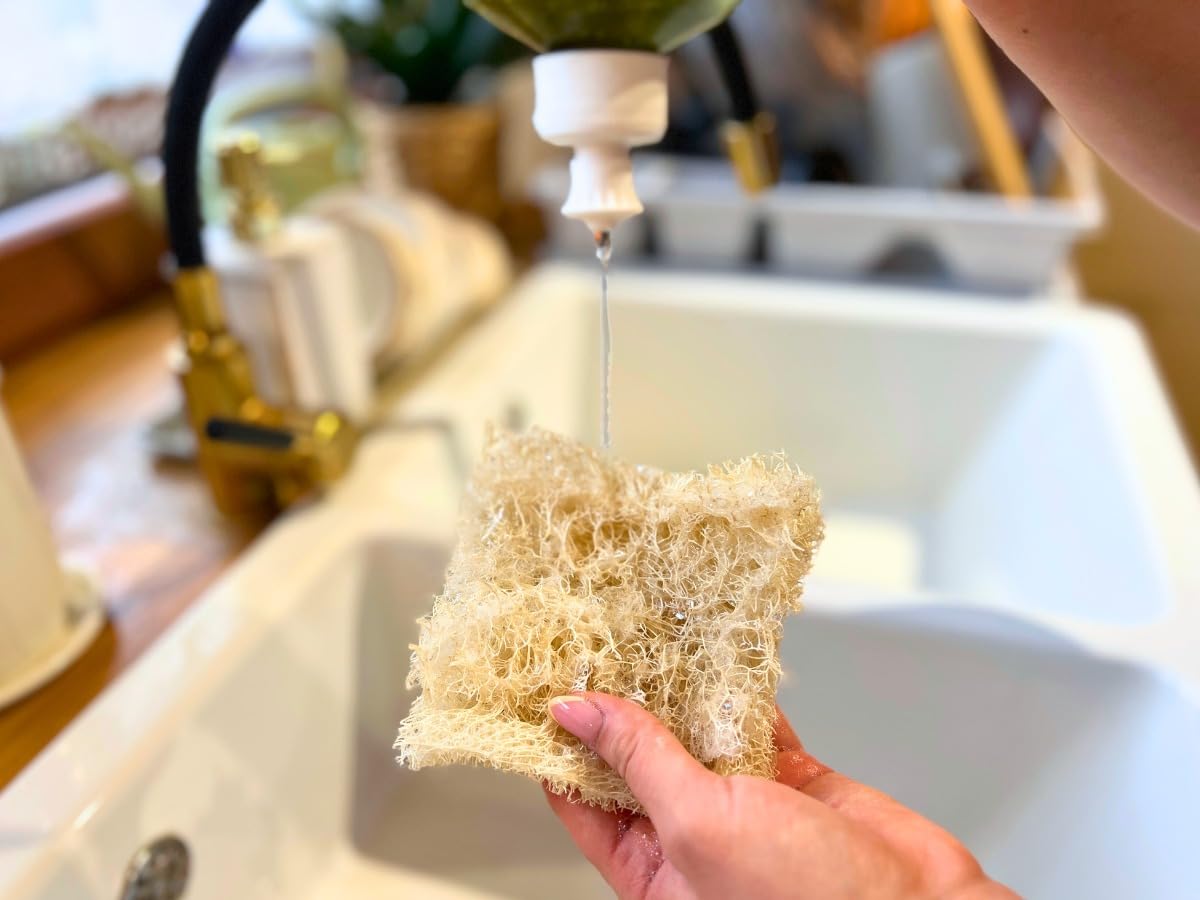 Naturalna gąbka do mycia naczyń z luffa – biodegradowalna, opakowanie 10 szt. – naturalne gąbki luffa – gąbki kuchenne wielokrotnego użytku do naczyń i powierzchni – przyjazne dla środowiska
