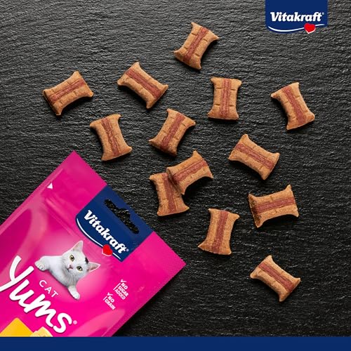 Vitakraft Cat Yums, Katzen Leckerli, weicher Katzensnack gefüllt mit Käse, im wiederverschließbaren Beutel, ohne Zusatz von Zucker (1x 40g)