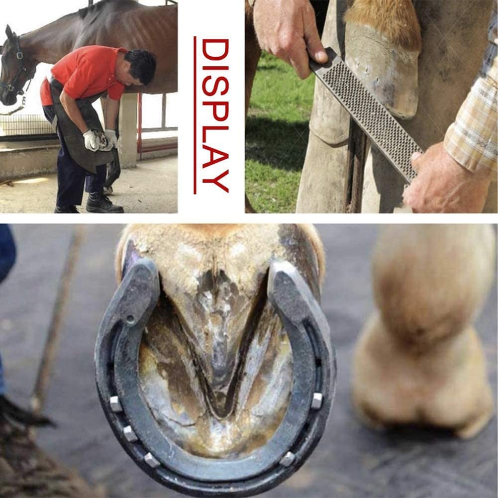 Kit de pinzas para pezuña de caballo, herramienta de corte de pezuña de cabra, herramientas de cuchillo de mango, tijeras de herradura para manicura de uñas de caballo, herraduras limpias
