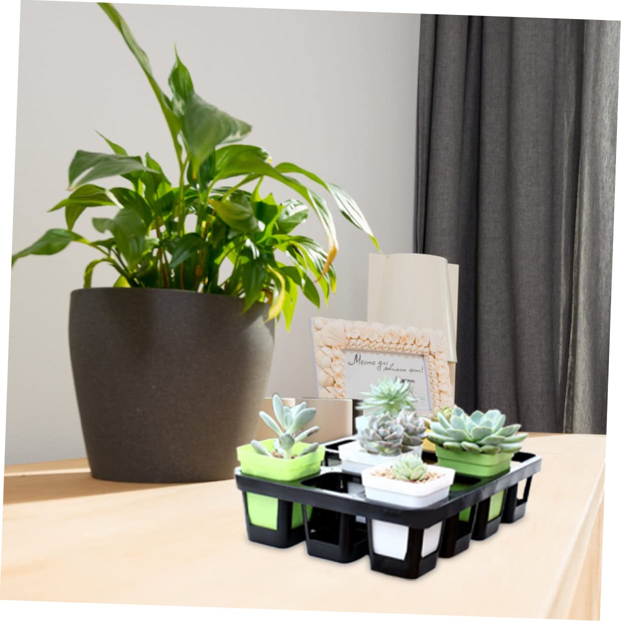 Vassoio di Germinazione Nero 24 Fori 7cm, Plastico, 2 Pezzi