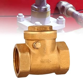 Swing Check Valve, DN25 Female Thread Brass Silicon Bronze -Free Check Valve 232PSI Prevent Water Backflow