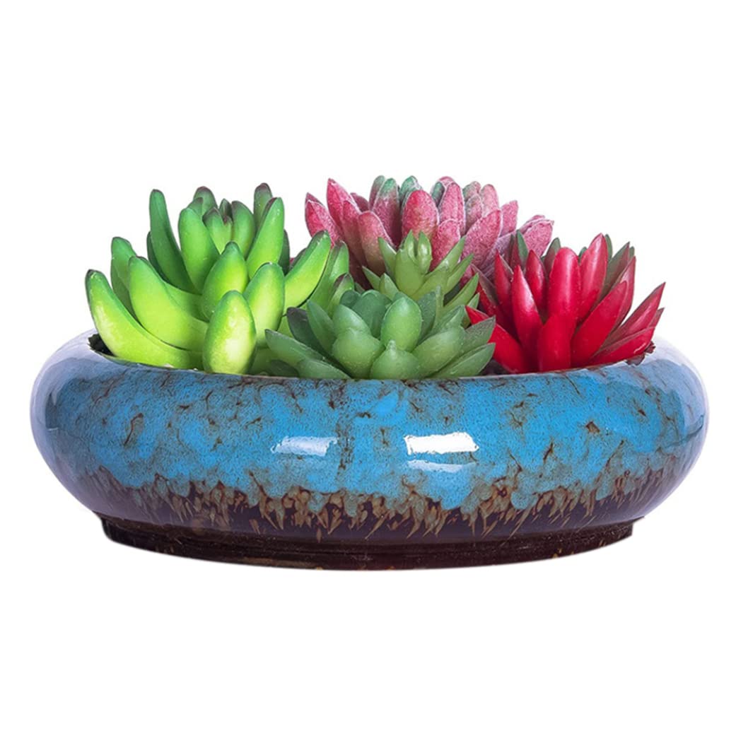 Hilai Macetas de Flores, Maceta suculenta Maceta de Bonsai Grande con Orificio de Drenaje Cerámica Cactus POTA para Enter