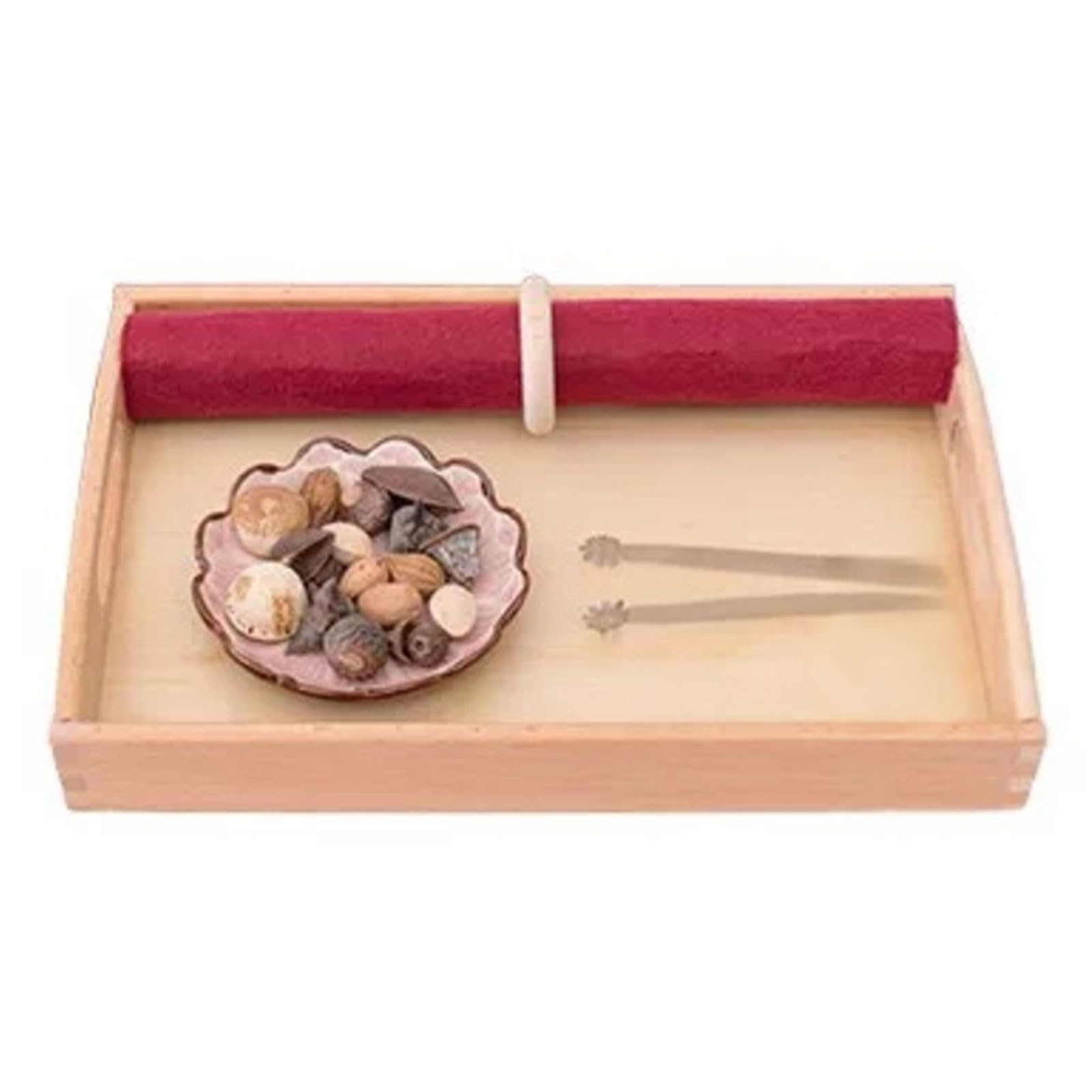 ttnmrc Montessori Seashell & Herbal Seed Matching Sensory Toy