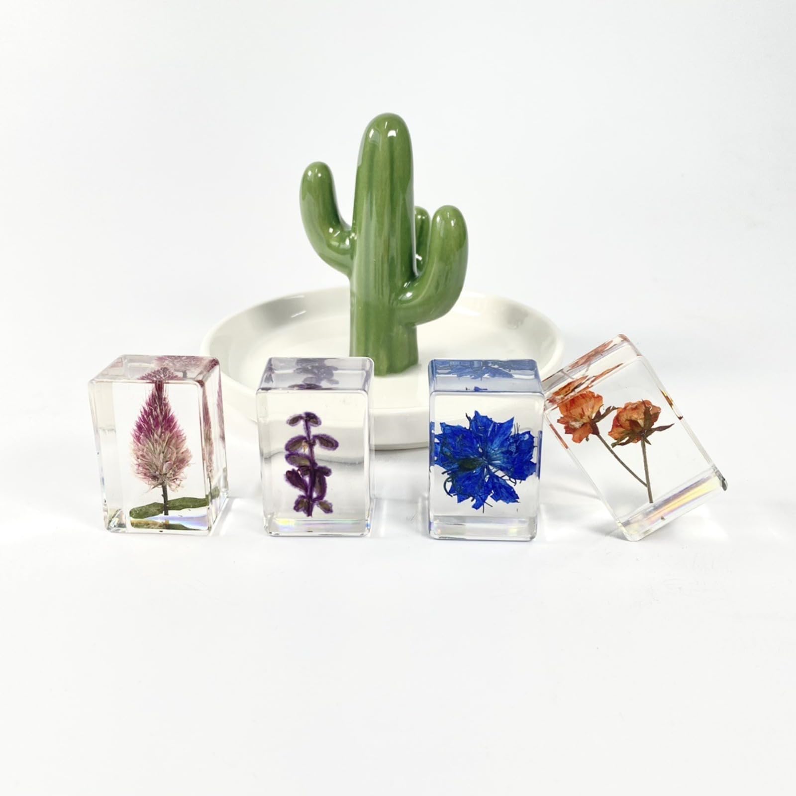 12 Stück Blume in Harz Exemplare gepresste Blume Briefbeschwerer Blume aus Harz Exemplare Sammlung für Schreibtisch echte Blumen Proben Papiergewichte für Kinder wissenschaftliche pädagogische