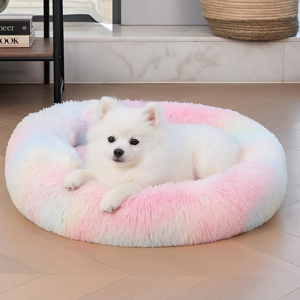 ZEXSAZONE Winter Round Donut Pet Bed for Cats, Puppies, and Dogs, Cozy and Plush, Raised Bedside Support, Both Sides Use Like 2-in-1, Washable, Sizes for Small, Medium, and Large Pets cat Bed Rainbow