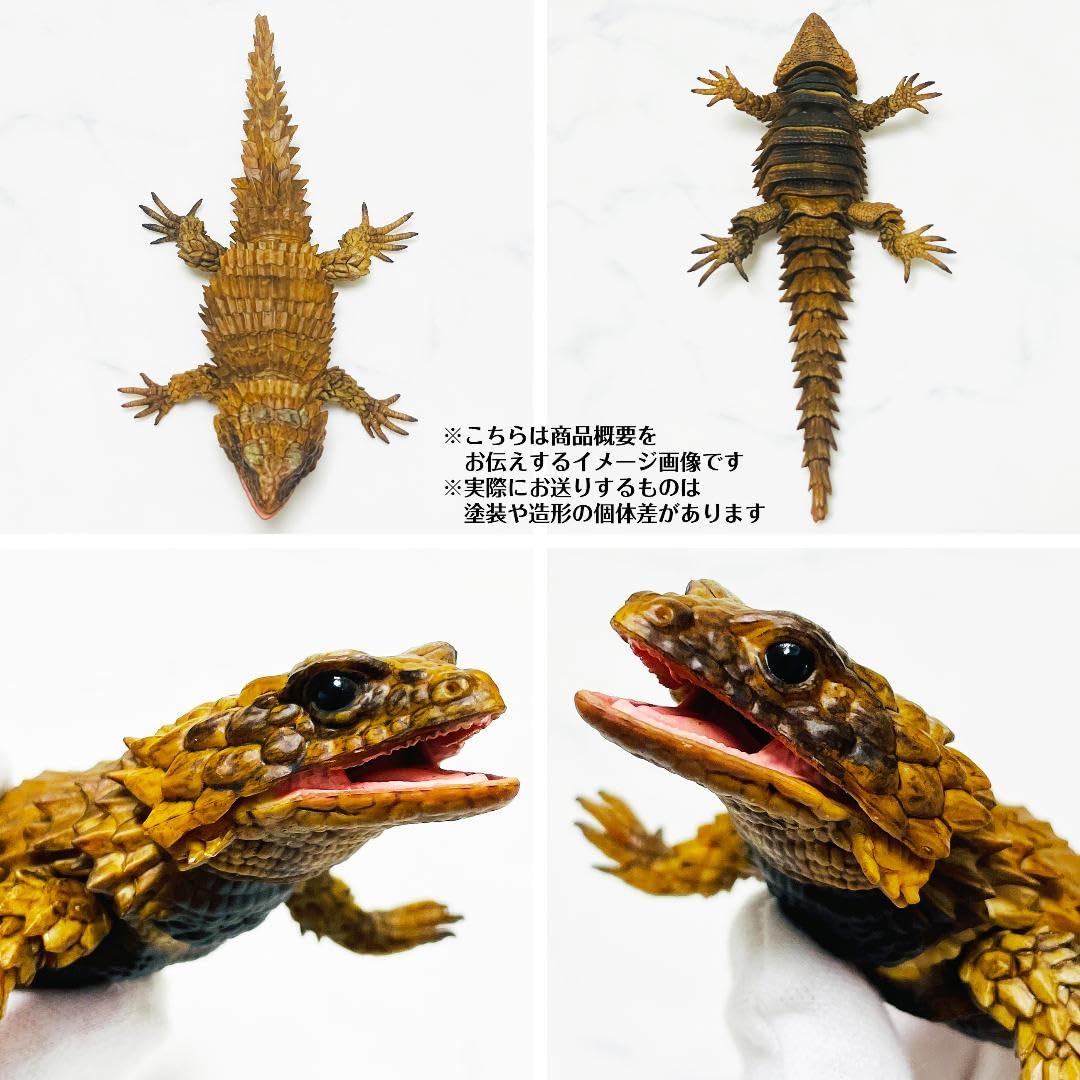アルマジロトカゲ　プレミアムガシャポン　生き物大図鑑 いきもの大図鑑アドバンス アルマジロトカゲ｜ガシャポン