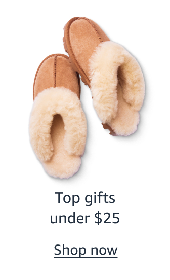 Top gifts under $25