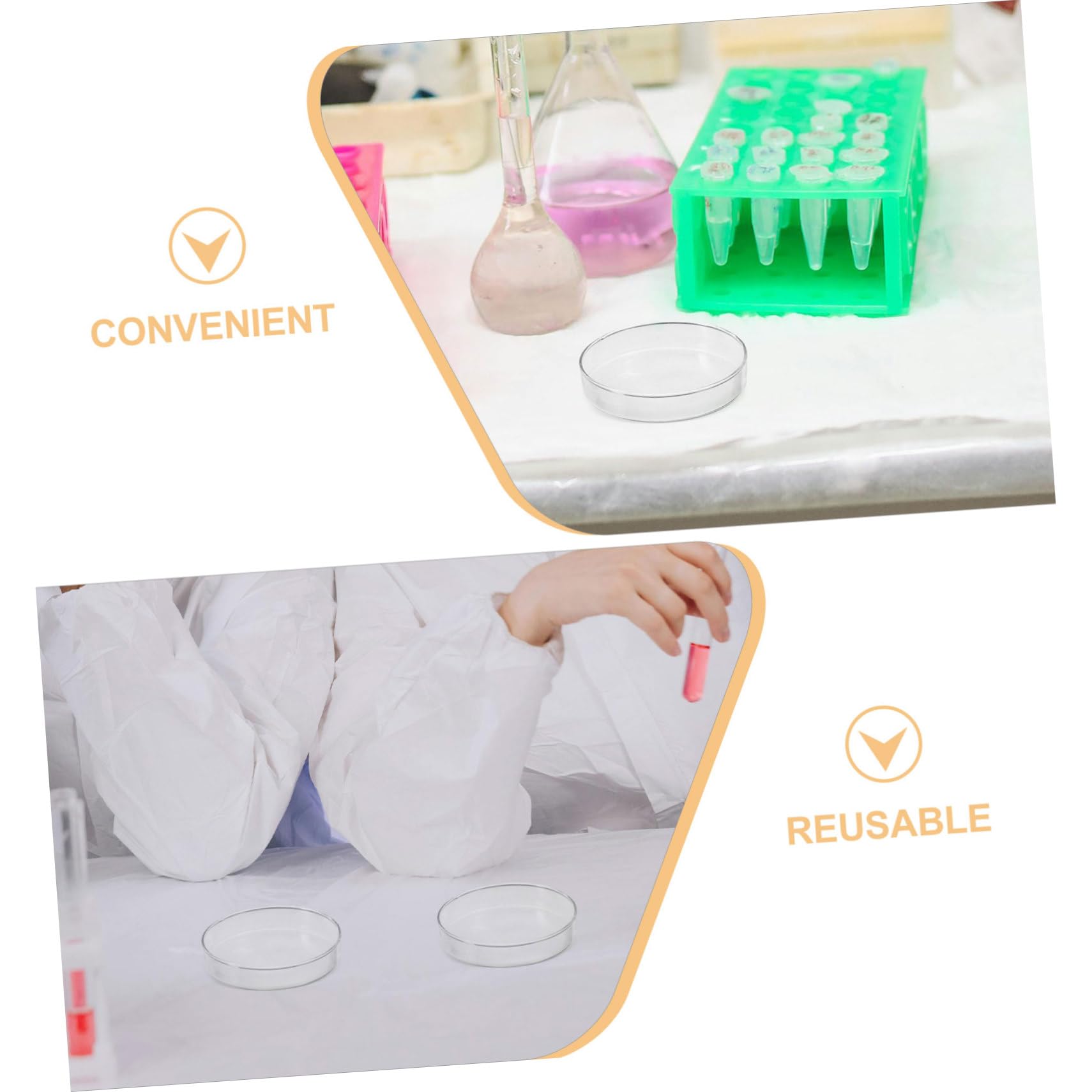 KOMBIUDA 5 Pezzi Piatti di Petri in Vetro Borosilicato con Coperchio Trasparente per Colture Cellulari e Studi Tissutali in Laboratorio Contenitori Resistenti Alta Temperatura per